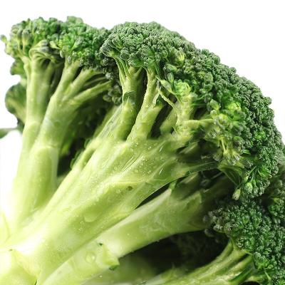 China Fresh new crop bulk fresh vegetables a grade soil crop broccoli for sale