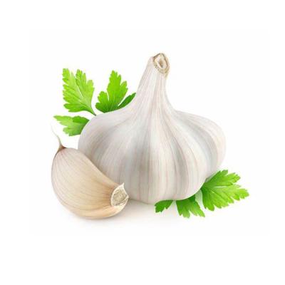 China 2020 New Culture Fresh Garlic/Galic/Peeled Garlic Price Organic Garlic for sale