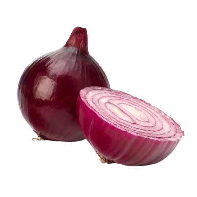 China Wholesale small fresh fresh onions red onion in china for sale