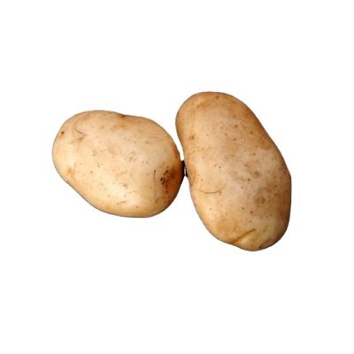 China China Potatoes Sale Fresh Instant Potatoes Direct Delicious Potatoes for sale