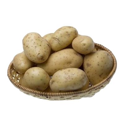 China China hot sale machine cutting fresh hot potatoes can baked delicious potato sprial potatoes for sale