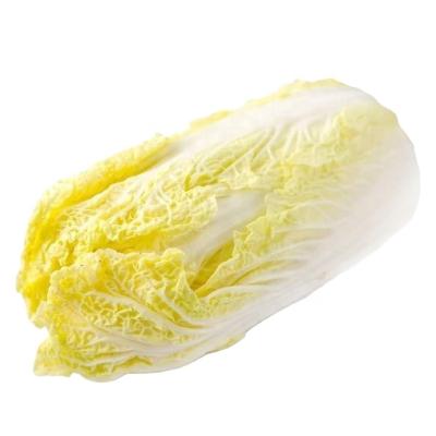 China Chinese Common Cabbage Food Baby Cabbage New Healthy Bulk China Cabbage Fresh Harvest for sale