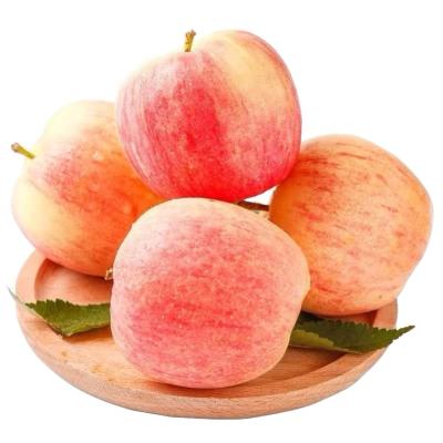 China 2020 Fresh Fuji Apple Exporter In China New Cultivation Fresh Fruit Fuji Red Apples for sale