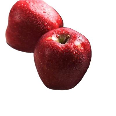 China Fresh high quality fresh fruit huaniu red delicious apples for sale