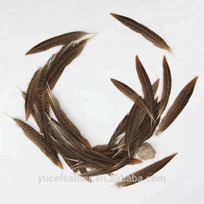 China Wholesale High Quality Dark Patterned Decoration 4-8 Inch (10-20 cm) Pheasant Tail Feather for sale