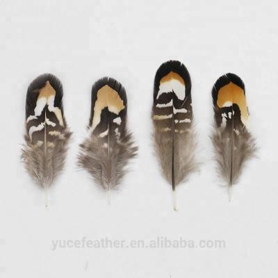 China Wholesale Size High Quality Small Feathers DIY Jewelry Natural Pheasant Tail Feathers 2-4.4inch (5-11cm) for DIY Jewelry or Kids for sale