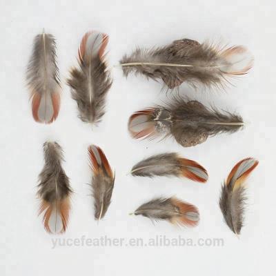 China Wholesale 2-4.8inch (5-12cm) small high quality cheap red pheasant feather decoration for craft natural feather for sale