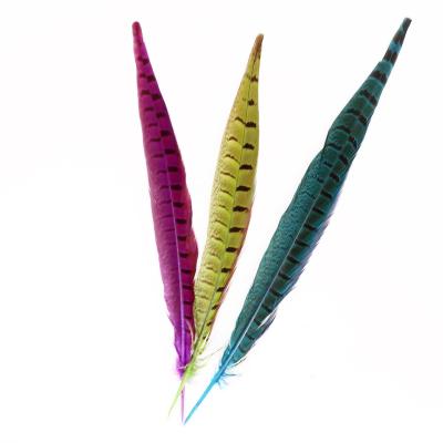 China Wholesale High Quality Natural Color 30-35cm Pheasant Tail Dyeing Carnival Carnival Feathers For Decoration for sale