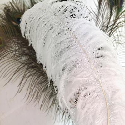 China Wholesale Decoration Ostrich Feather 45-50CM Hair White High Quality Color For Feather Lamp, Wedding Centerpieces for sale