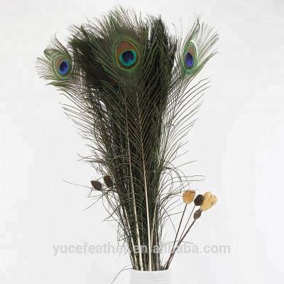 China Decoration 32-36 inch (80-90 cm) High Quality Beautiful Natural Color Eco-friendly Peacock Tail Feather for sale