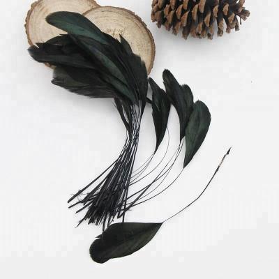 China Decoration 6-8 inch (15-20 cm) artificially picked Hull Rooster Tail Feather stripped dyed black for sale