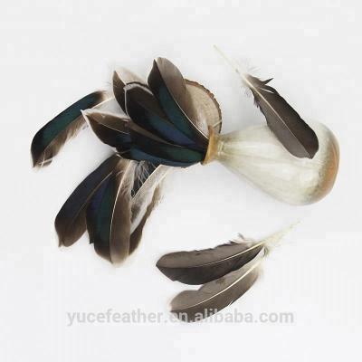 China Decoration 4-6 Inch (10-15 cm) Duck Feather Can Be Used Natural Gorgeous Dark Elegant Wholesale As Handwork Material for sale