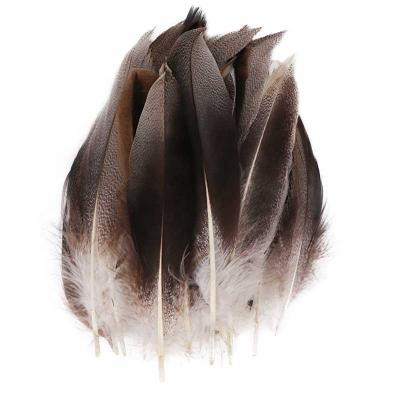 China Elegant Decoration 2-6 inch (5-15 cm) Texture Natural Color Patterned Duck Feather for sale