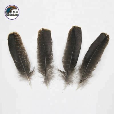 China Wholesale Best Selling Jewelry DIY 8-10 Inch (20-25 cm) Chinese Top Manufacturer Feather Turkey Natural Feathers For Garment Accessories for sale