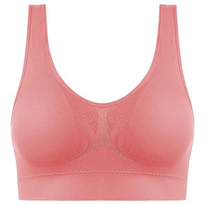 China BH Women's Seamless Underwear Bras QUICK DRY Large Size Pure Color Bra Push Up Bralette With Top Pad Vest SPORTS BRA for sale