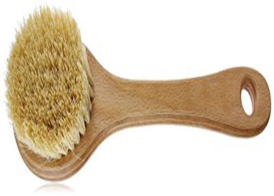 Chine Brosse sèche de corps de poil naturel de cactus, brosse sèche faite main de Body Shop à vendre