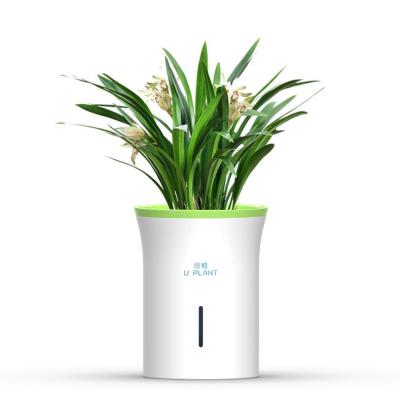 China Modern Home office gift automatic watering flowerpot data monitoring smart plant growing flowerpots for sale