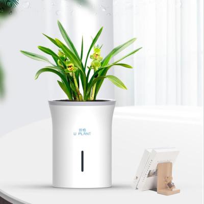 China Modern Self-watering flowerpot Automatic watering flowerpot Intelligent planting flower pot for sale