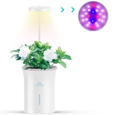 China Modern Brightness adjustable plant fill light Self absorption belt timing switch Hydroponic planting Soil planting Flower pot for sale