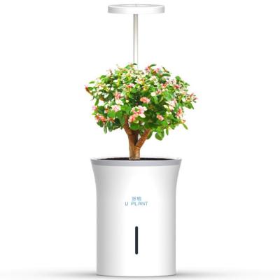 China Modern Automatic LED spectral lighting watering plant growing POTS Scientific growing smart plant POTS for sale