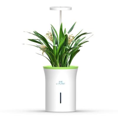 China Modern Easy to plant automatic light-sensitive watering flowerpot scientific plant smart flowerpot for sale