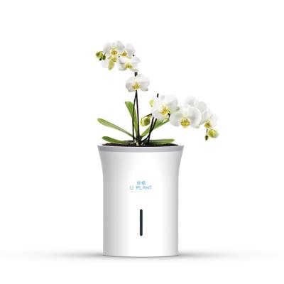 China Modern Home office hotel Automatic water absorption and watering system smart planter pots for sale