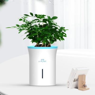 China Modern Automatic water absorption and watering system smart planter pots for sale