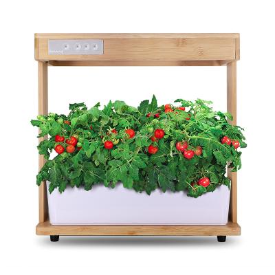 China Modern woodiness LED spectral lighting Intelligent Plant growth system Garden hydroponic planting system for sale