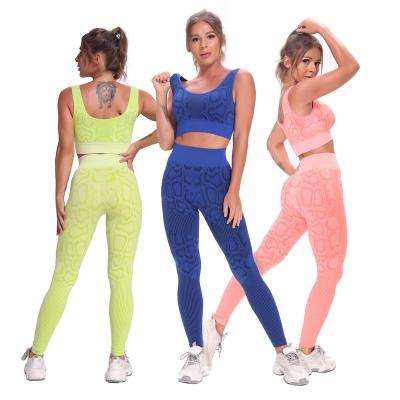 China Plus Size Four Way Stretch Women Lady Seamless Workout Fitness Serpentine Hip Lift High Waist Pants Sports Wear Yoga Bra Set Suit for sale