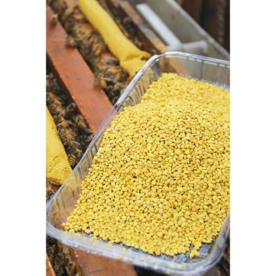 China Beekeeping Factory Price Manufacturer Food Grade Natural Fresh Flower Organic Mixed Bee Pollen for sale