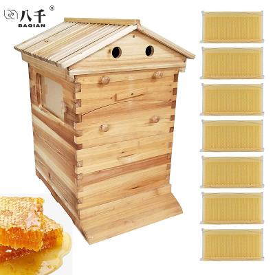 China Self Flowing Honey Bee Hive and 7 Self Automatic Self Flowing Honey Bee Hive Chinese Wax-Coated Cedar Wood Frame Beekeeping Tool Automatic Flow Hive for sale