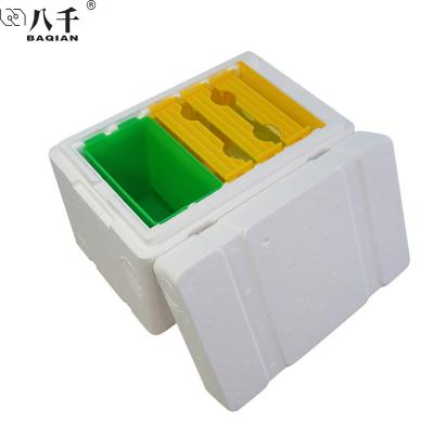 China Mini Bee Keeping Mini Bee Hives Foam Styrofoam Bee Box Beekeeping Starter Kit Joining ESP for Beekeeping for sale