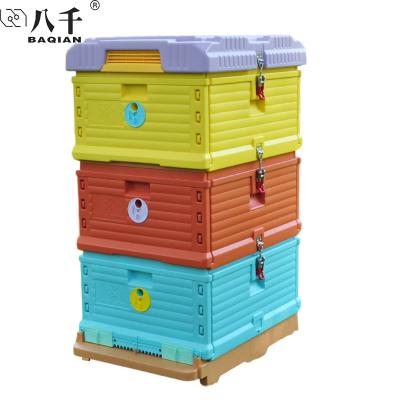 China Easily Assembled 3 Layer 10 Layer Frame Hive Bee Hive HDPE Langstroth Bee Plastic Thermal Box for sale