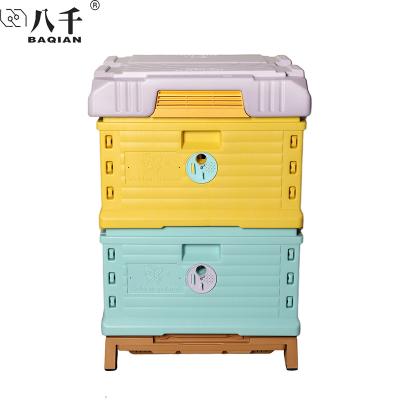 China Easily Assembled 2 Layers Plastic Size Insulated Bee Hive Langstroth Hive Set 20 Frame Hive Beekeeping Plastic Bee Box for sale