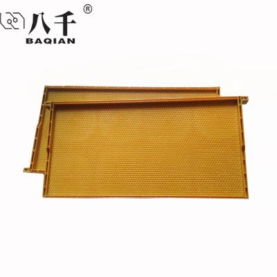 China Multi Size Yellow Plastic Sheet Beekeeping Base Prevention Crack Bee Farm Base Plastic Sheet for sale