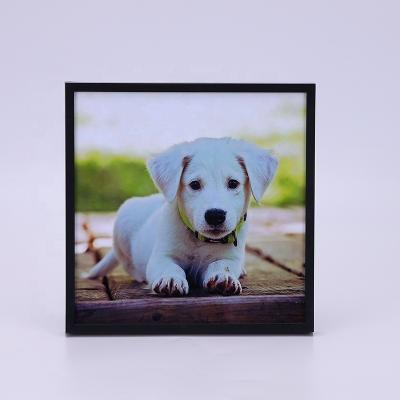 China Fashion Restickable Lowest Buy Adhesive Picture Frame With High Quality for sale