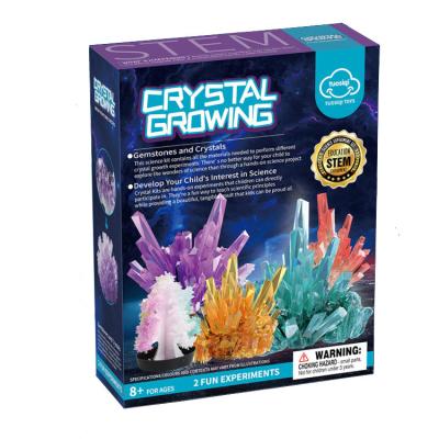 China Improve child's ability manual crystals grow and crystallize steam science small experiment set children's toy diy handmade Christmas tree for sale