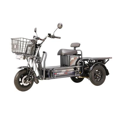 China High Quality Durable EEC Steel Tricycle 3 Wheel Electric Tricycle 500w for sale