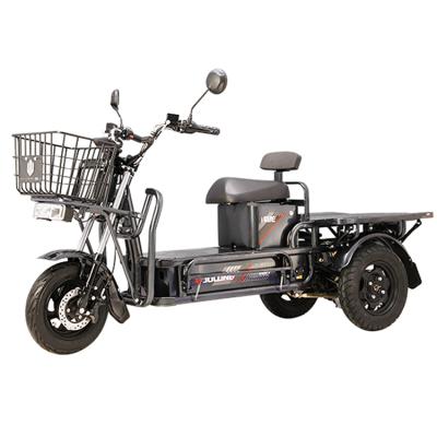 China Steel Strong Power 1000w Food Delivery Electric Motorcycle Electric Tricycle Adult for sale