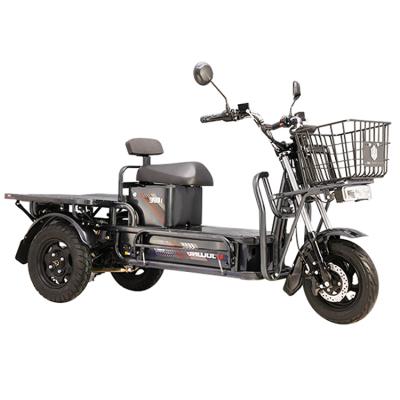 China Sale 1200W 3 Wheel Steel Electric Bike Electric Tricycles 2021Factory for sale