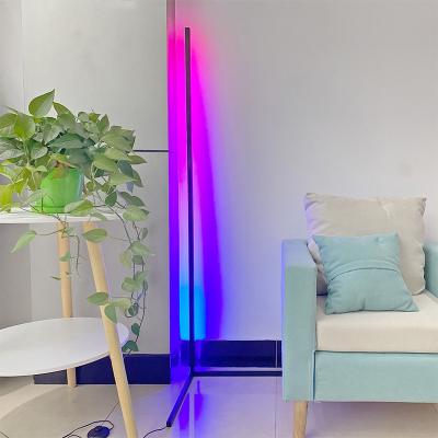 China Modern Foyer Lighting New RGB Led Floor Lamp With Remote Switch Black Finish Body for sale