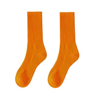 China QUICK DRY Sock Packing Sleeve Manufacturers No Show Sock Custom for sale