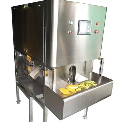 China Commercial Fully automatic Pineapple Peeler Corer Slicer Coring Machine Pineapple Skin Removing Peeling Mango pumpkin for sale