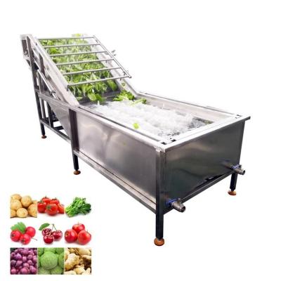 China Multifunctional Ginger Washing Double Bubble Water Spinach Industrial Fruit Washing Ozone System for sale