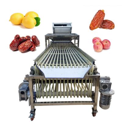 China Fruit Avocado Oranges Dates Size Grading Sorting Machine Mutifunction Automatic for sale