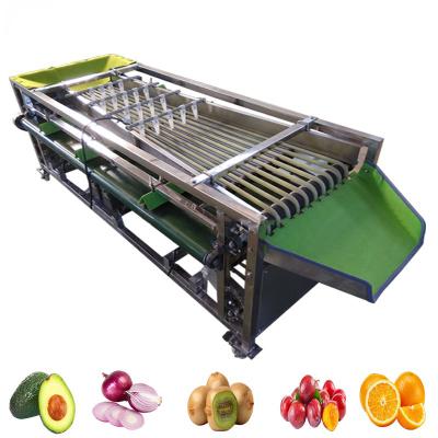 Chine Machine automatique de traitement des fruits et légumes avec fonction de lavage à vendre