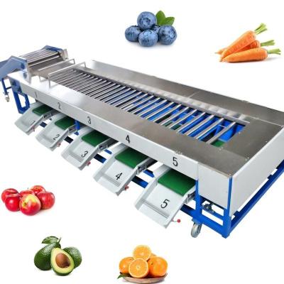 Chine Sélection du poids des fruits Machine de transformation des fruits et légumes pour le tri des fruits à vendre