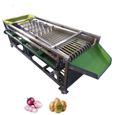 Chine 220V classificateur automatique de taille de fruits pour la machine de transformation de fruits et légumes à un prix abordable à vendre