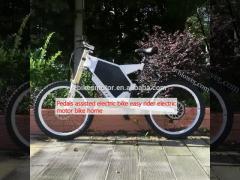 Pedals assisted electric bike easy rider electric motor bike home