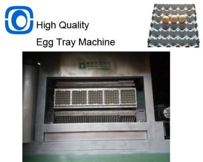 China Automatische productie van pulp ei tray machine Gear Control zwaar gewicht Te koop